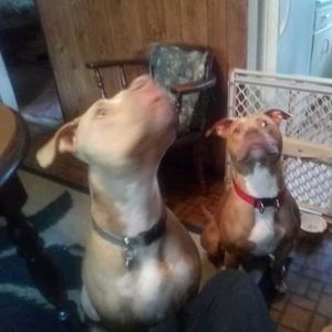 Meet your Posher, Candy